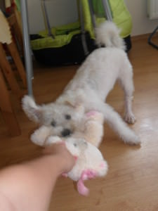SAM_0026