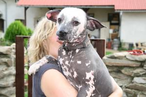 roky1