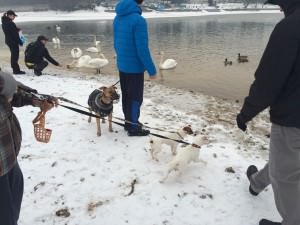 IMG_1530