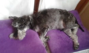 20150314_100553