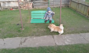 20150328_165658