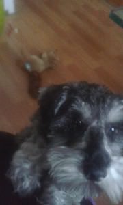 20150506_175151