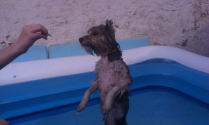 IMAG2372