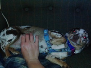 IMG_20150519_211729