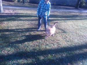 IMG_20151116_123421