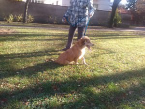 IMG_20151116_123432