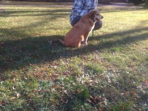 IMG_20151116_123511