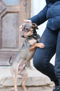 IMG_6125b