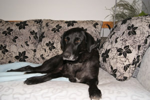 Rituska 1