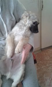 20160327_130420