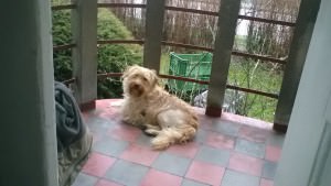 WP_20160325_17_46_06_Pro 1