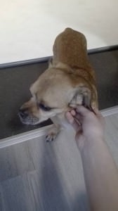 babetka