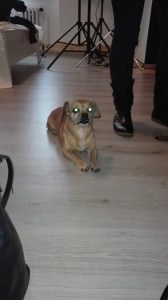 babetka1