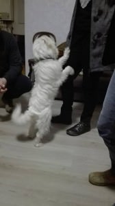 kvído1