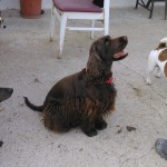 IMG-20200203-WA0058