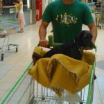 IMG-20200203-WA0059