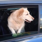 IMG-20220403-WA0014