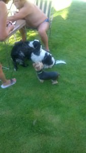 WP_20160827_16_57_43_Pro