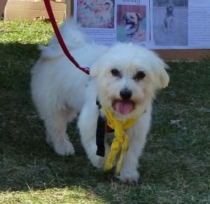 lola2