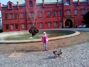 IMG_20170402_161843
