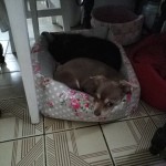 received_549451432115303