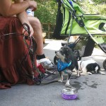IMG_20180622_202551