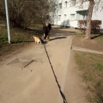 stažený soubor (3)