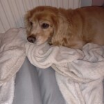 IMG-20220916-WA0030