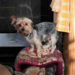 IMG_20190216_153825
