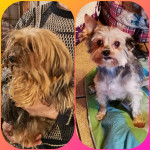 PhotoEditor_20190216_153025210