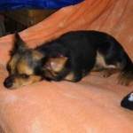 IMG_20191110_205540