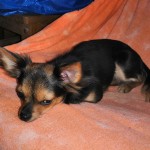 IMG_20191110_205554