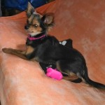 IMG_20191110_205636