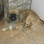 oznor