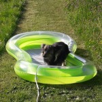 IMG-20230421-WA0088