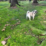 IMG-20230421-WA0035