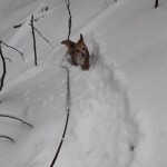 IMG-20230308-WA0026