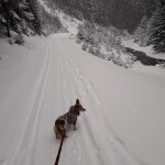 IMG-20230308-WA0030