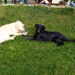 IMG-20201025-WA0019