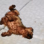 IMG_20200802_152439