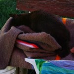 IMG_20200802_153450