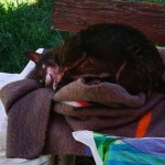 IMG_20200802_153523
