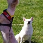 IMG_20200907_093551
