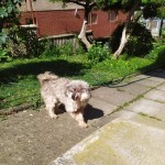 received_1030721854031048