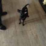 IMG-20210121-WA0008