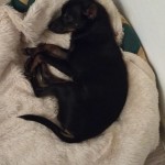 IMG-20210121-WA0022