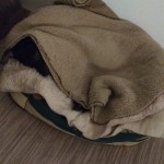 IMG-20210121-WA0024