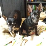 IMG-20210204-WA0005