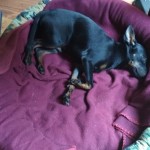 IMG-20210213-WA0005