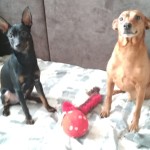 IMG-20210213-WA0007
